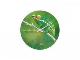 Часы настенные Nicole Time NT503 в Артыке - artyk.mebel-nsk.ru | фото